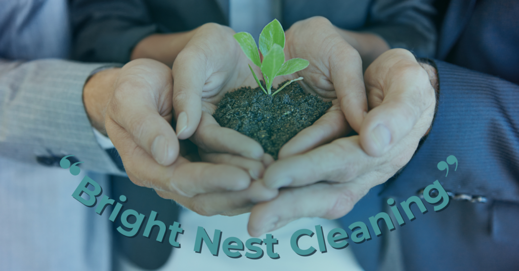Bright Nest Cleaning
